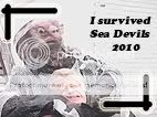 sea devils 2010 badge