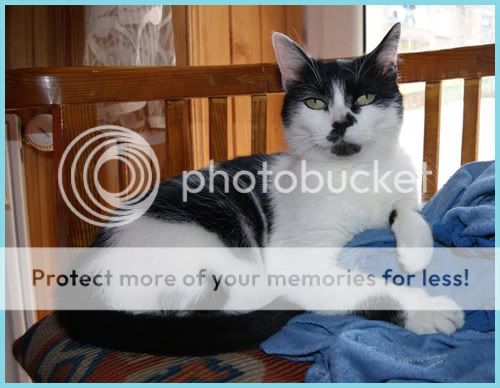 Photobucket