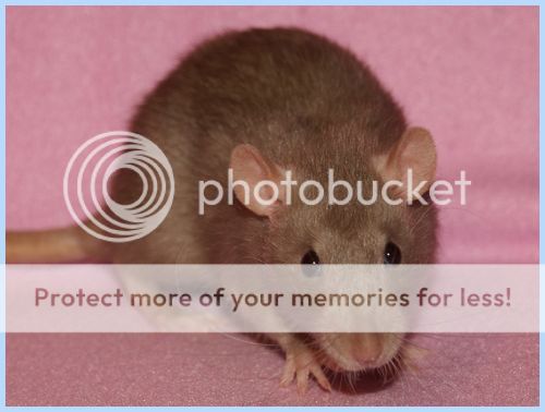 photo Weekend_zpsqbmmoypc.jpg