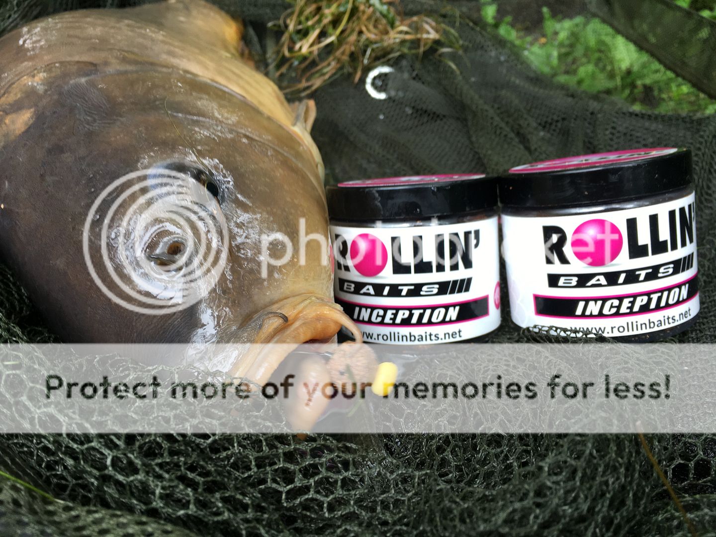 photo 042EB398-DAFB-4BA9-8B18-C6D2E3FC6752_zps7pcwibgu.jpg
