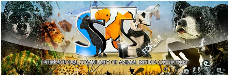 STS Forum