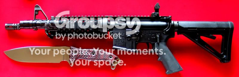 Colt 6933 Semi-auto LE 